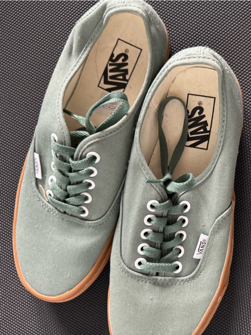 Vans Low-Top Canvas Sneakers in Sage Green with Gum Sole like new